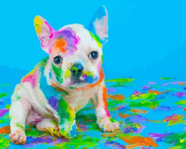 Figured'Art Paint by Numbers for Adults Bulldog Pop Art 40x50cm - Craft Art  Painting DIY Kit Rolled Canvas Without Frame