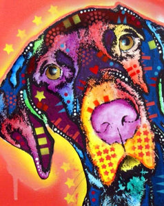 paint by numbers | Dog with Stars | advanced animals dogs Pop Art | FiguredArt