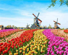 Load image into Gallery viewer, paint by numbers | Dutch Windmill Flowers | advanced flowers landscapes | FiguredArt
