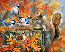 Load image into Gallery viewer, Mischievous Squirrel