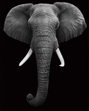 Load image into Gallery viewer, paint by numbers | Elephant White And Black | advanced animals elephants | FiguredArt