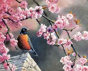 paint by numbers | European Robin in Spring | animals flowers intermediate | FiguredArt
