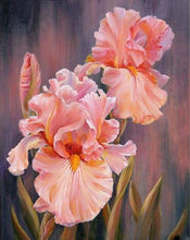 Load image into Gallery viewer, paint by numbers | Flower in Wonderland | flowers intermediate | FiguredArt