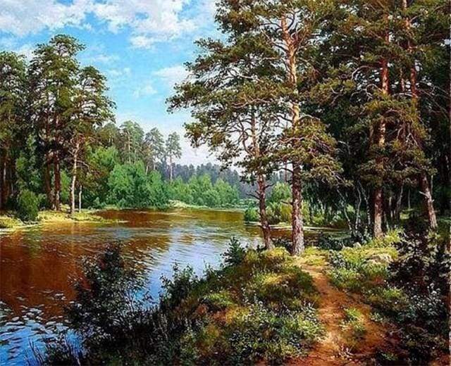 Paint by numbers - Forest landscape Summer time – Figured'Art