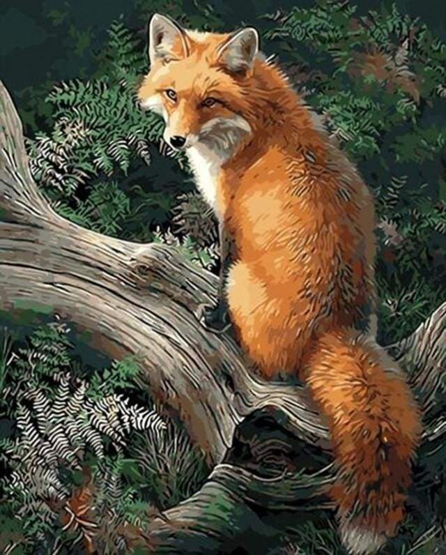 Spirit Guide Fox - Animals Paint By Number - Paint by numbers for