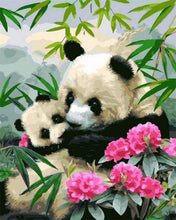 Load image into Gallery viewer, paint by numbers | Giant pandas | animals easy pandas | FiguredArt
