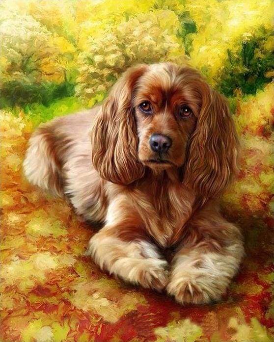 paint by numbers | Golden Retriever | advanced animals dogs | FiguredArt