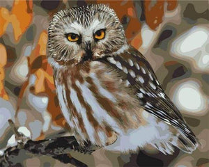 paint by numbers | Gray Owl | animals intermediate owls | FiguredArt