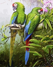 Load image into Gallery viewer, paint by numbers | Green Parrots | animals birds intermediate parrots | FiguredArt