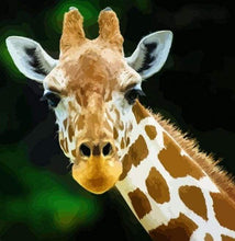 Load image into Gallery viewer, paint by numbers | Head And Neck Giraffe | animals easy giraffes | FiguredArt