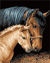 Load image into Gallery viewer, paint by numbers | Horse and Foal | animals easy horses | FiguredArt
