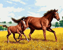 Load image into Gallery viewer, paint by numbers | Horse and Foal in the field | animals easy horses | FiguredArt