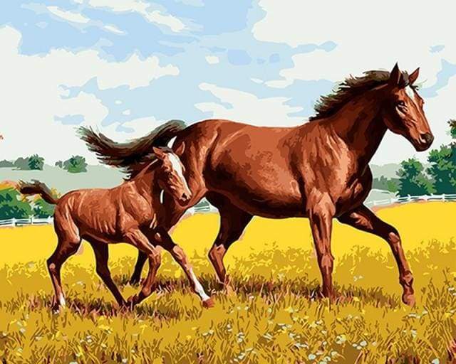 paint by numbers | Horse and Foal in the field | animals easy horses | FiguredArt