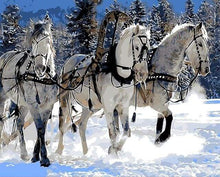 Load image into Gallery viewer, paint by numbers | Horse ballad in the Snow | animals horses intermediate | FiguredArt