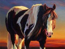 Load image into Gallery viewer, paint by numbers | Horse Black And White | advanced animals horses | FiguredArt