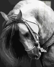Load image into Gallery viewer, paint by numbers | Horse Neck | animals horses intermediate | FiguredArt