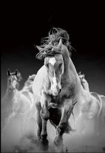 Load image into Gallery viewer, paint by numbers | Horse Race | advanced animals horses | FiguredArt