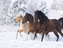 Load image into Gallery viewer, paint by numbers | Horses in the Winter snow | advanced animals horses | FiguredArt