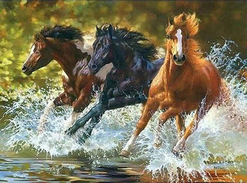 paint by numbers | Horses of Camargue | animals horses intermediate | FiguredArt