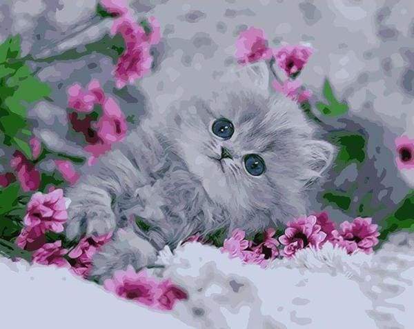paint by numbers | Kitten in the Flowers | animals cats flowers intermediate | FiguredArt