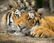 Load image into Gallery viewer, paint by numbers | Kittens and Tiger | animals cats easy tigers | FiguredArt