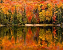 Load image into Gallery viewer, paint by numbers | Lake Reflection in Autumn | advanced landscapes new arrivals | FiguredArt