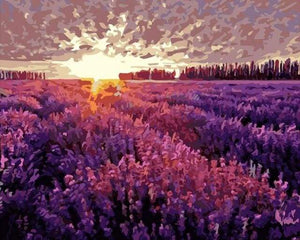 paint by numbers | Lavender Field | advanced flowers landscapes | FiguredArt