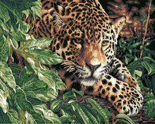 Load image into Gallery viewer, paint by numbers | Leopard on the lookout | animals intermediate leopards trees | FiguredArt