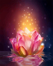 Load image into Gallery viewer, paint by numbers | Light Floating Lotus | advanced flowers | FiguredArt