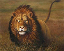 Load image into Gallery viewer, paint by numbers | Lion | advanced animals lions | FiguredArt