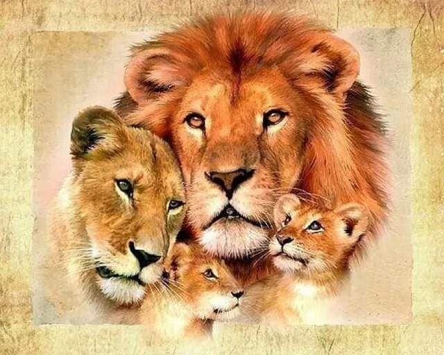 paint by numbers | Lion family | advanced animals lions | FiguredArt