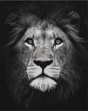 Load image into Gallery viewer, paint by numbers | Lion Head Black And White | advanced animals lions | FiguredArt