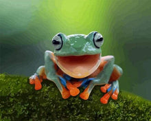 Load image into Gallery viewer, paint by numbers | Little Frog | animals frogs intermediate | FiguredArt