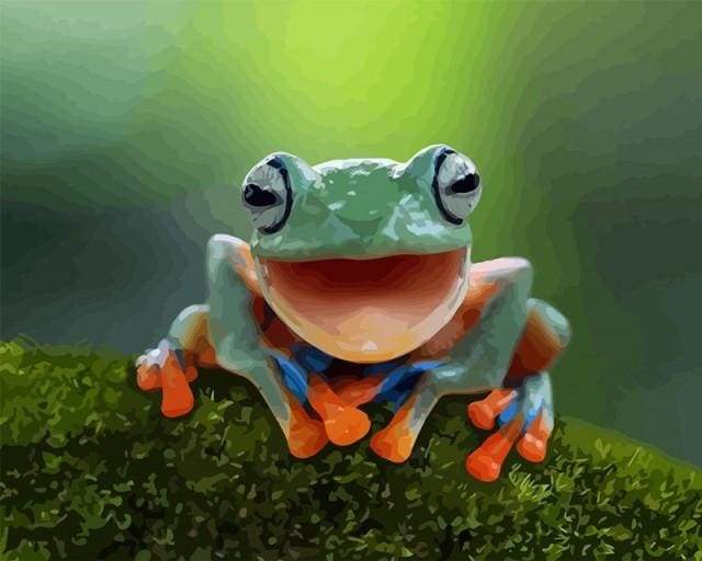 Paint by numbers - Little Frog – Figured'Art