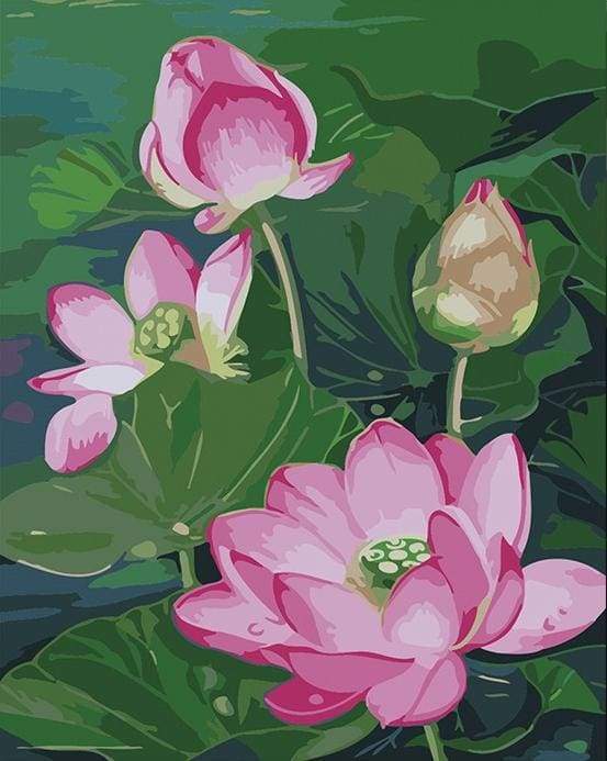 Paint by numbers for adults Flowers on the Water - Pink Plants Surrounded  by a Pond - Paint by numbers for adults - Paint by numbers