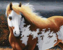 Load image into Gallery viewer, paint by numbers | Magic Horse | advanced animals horses | FiguredArt