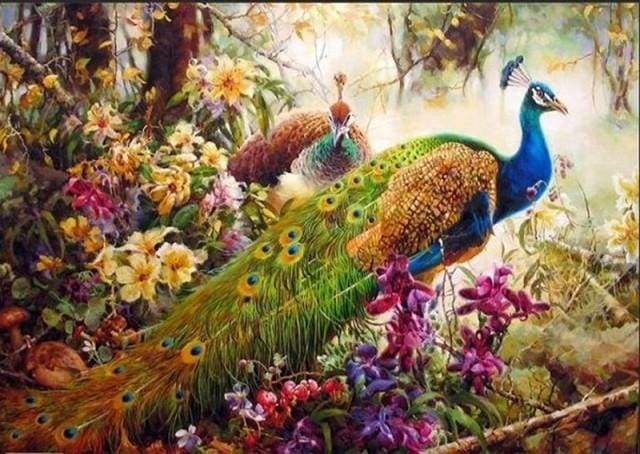 paint by numbers | Magnificent Peacock | advanced animals peacocks | FiguredArt