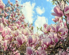 Load image into Gallery viewer, paint by numbers | Magnolias | flowers intermediate | FiguredArt