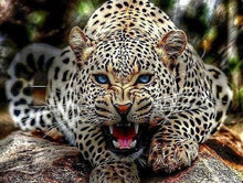 Load image into Gallery viewer, paint by numbers | Mother Leopard Roars | advanced animals leopards | FiguredArt