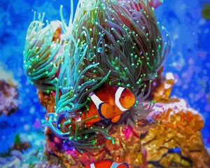 paint by numbers | Nemo Fish | advanced animals fish | FiguredArt