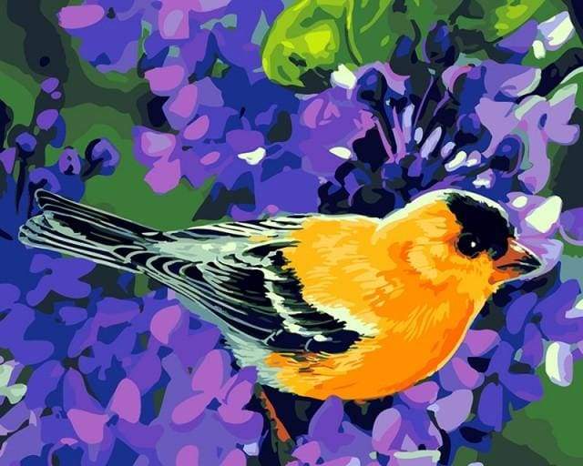 paint by numbers | Orange Bird | animals birds easy | FiguredArt