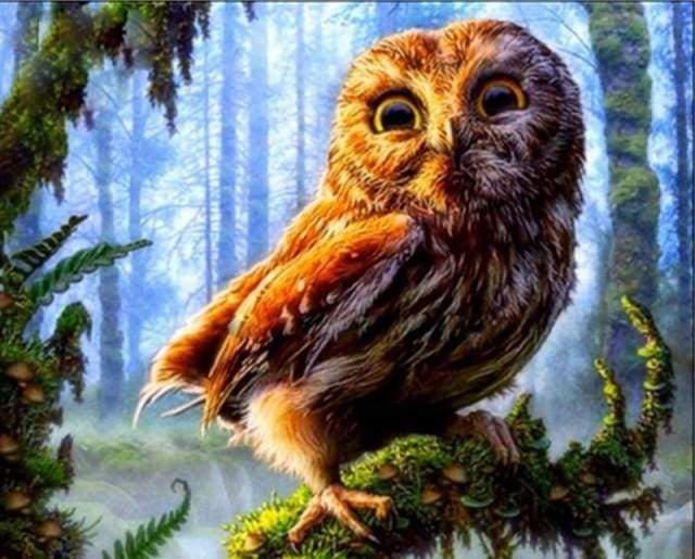 paint by numbers | Owl perched on a branch | advanced animals owls trees | FiguredArt