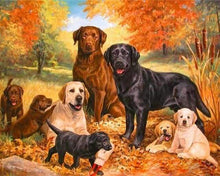 Load image into Gallery viewer, paint by numbers | Pack of Dogs | advanced animals dogs | FiguredArt
