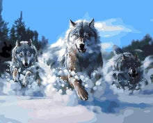 Load image into Gallery viewer, paint by numbers | Pack of Wolves in the Snow | animals intermediate wolves | FiguredArt