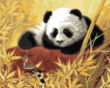 Load image into Gallery viewer, paint by numbers | Panda And Bird | animals birds easy pandas | FiguredArt