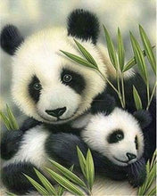 Load image into Gallery viewer, paint by numbers | Panda Couple | advanced animals pandas | FiguredArt