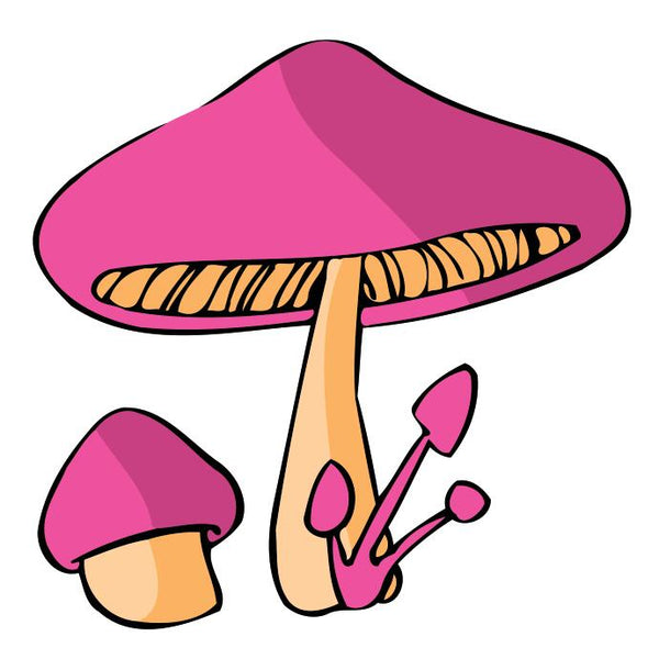 Paint by numbers | Children Painting kit Pink Mushroom | kids easy | Figured'Art