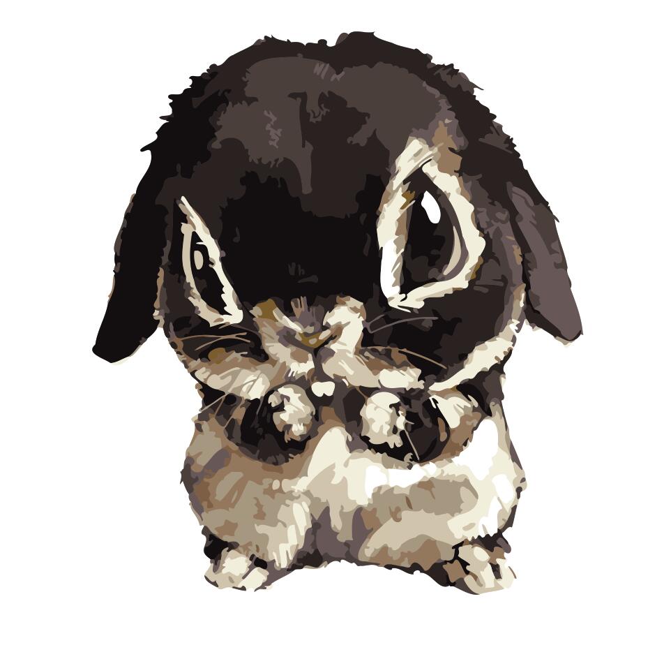 Paint by numbers | Children Painting kit Rabbit with black head | kids intermediate | Figured'Art