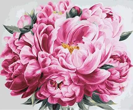Paint by numbers - Pink Peony – Figured'Art