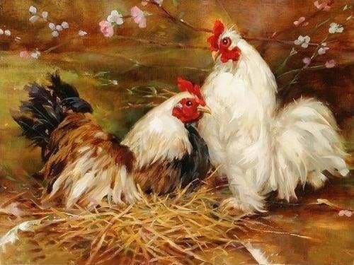 Paint by numbers | Hen and Rooster | animals advanced birds | Figured'Art